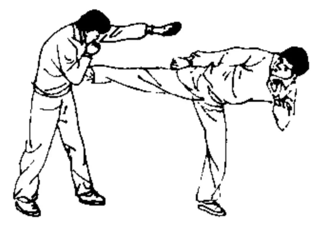 盘点那些一招致命的散打教程,如何提高自己散打实战灵活性