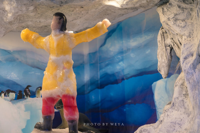 面面旅拍—诉不完千古泪，道不停三亚情，这个冬天我们掌心有太阳