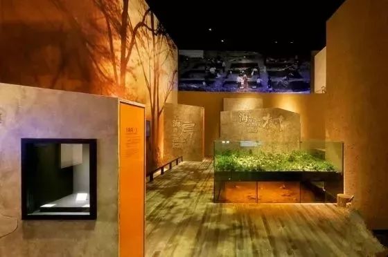 上海17号线朱家角到古镇,上海17号线东方绿舟