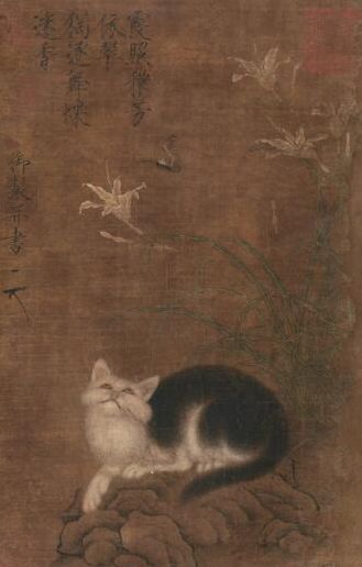 喵星人的江湖完整版,猫的江湖地位