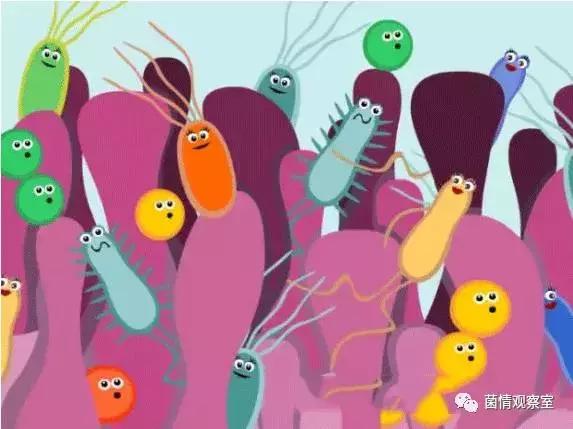 皮肤上的油脂保护膜,皮肤的生态保护屏障