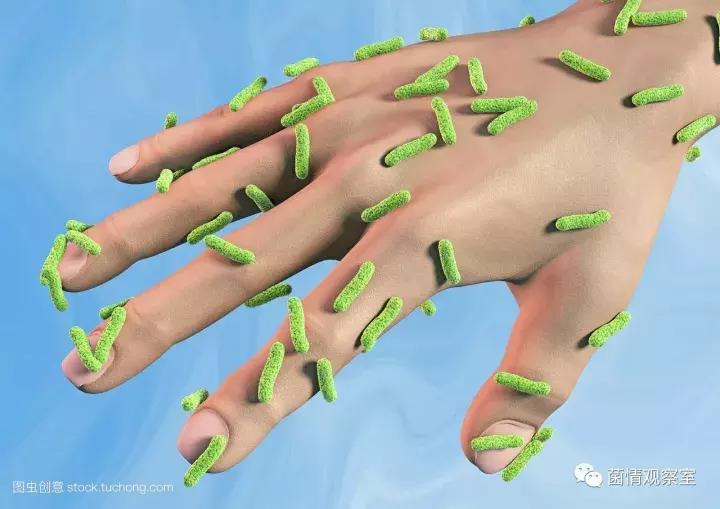 皮肤上的油脂保护膜,皮肤的生态保护屏障