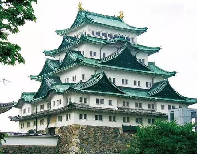 蛙不着家！空巢老母亲就将它去的地方、买的珍品统统扒了一遍！