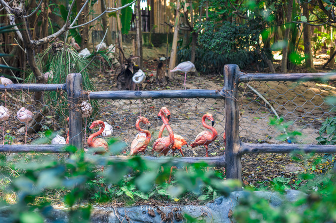 面面旅拍—诉不完千古泪，道不停三亚情，这个冬天我们掌心有太阳
