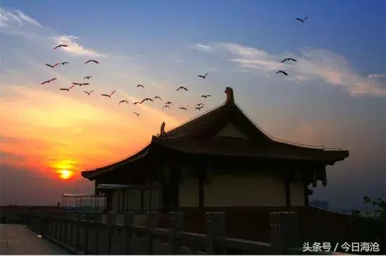 海沧，你凭什么？