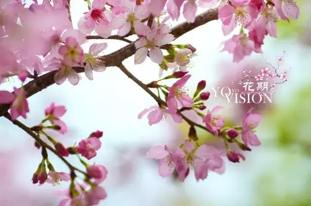 国内风景最好的旅游景点冬天,国内各地最美的十大自驾游线路