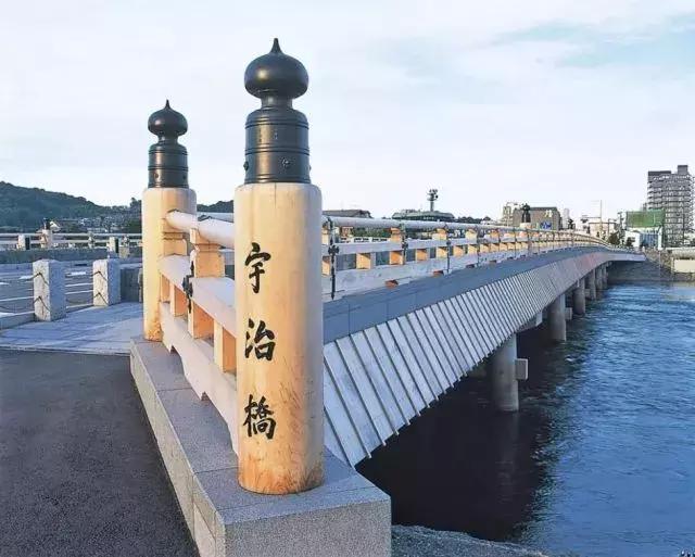 蛙不着家！空巢老母亲就将它去的地方、买的珍品统统扒了一遍！