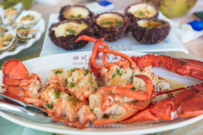 面面旅拍—诉不完千古泪，道不停三亚情，这个冬天我们掌心有太阳