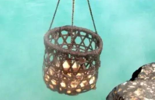 蛙不着家！空巢老母亲就将它去的地方、买的珍品统统扒了一遍！