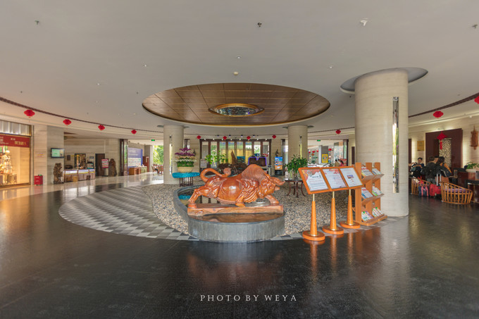 面面旅拍—诉不完千古泪，道不停三亚情，这个冬天我们掌心有太阳