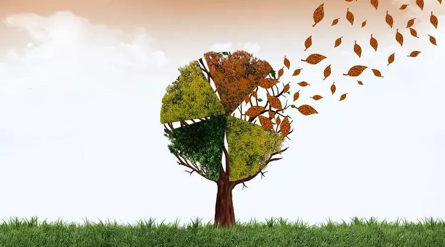 测评散装积木,积木测评微型