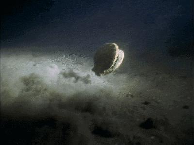 「早参」快车司机坑滴滴：疯狂甩单、拒载