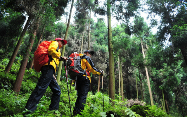 二年级在野外迷路了怎么辨别方向,野外迷路后我们通过什么辨别方向