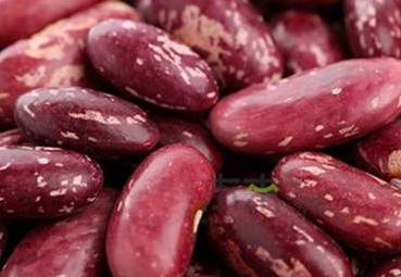 有一种既便宜又好吸收的钙片,十种天然钙片排名