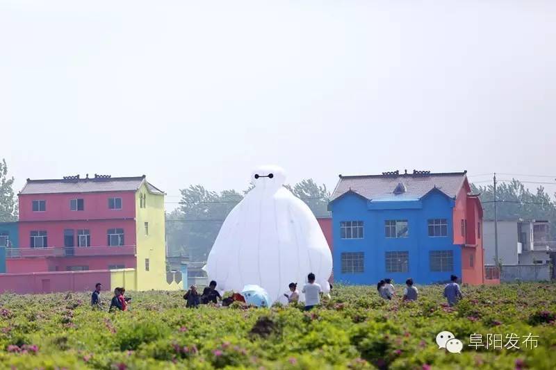 界首有个*瑰园玫**，美爆了！没去别后悔~