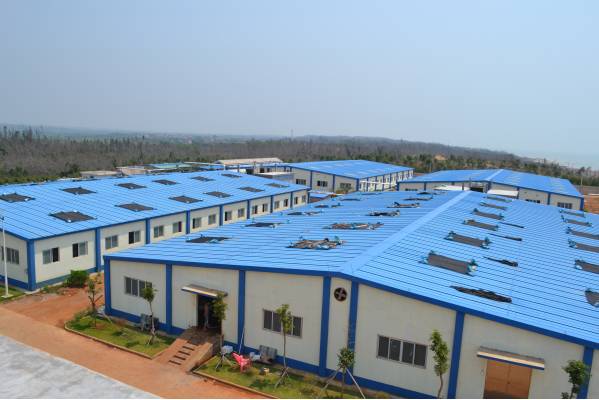 最好的虾苗品牌,新品虾苗