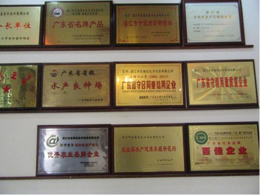 最好的虾苗品牌,新品虾苗