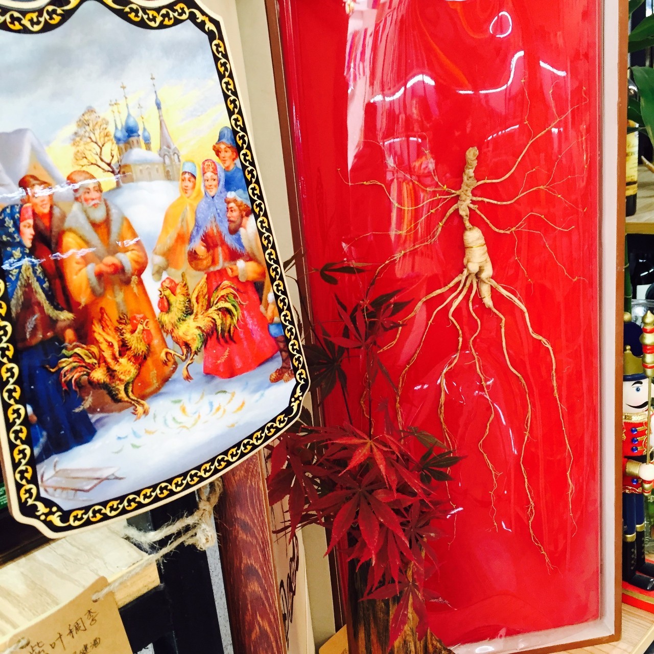 索菲亚好疯狂啊！老板娘送参王啦！五一大礼太豪啦！（文内5块9）