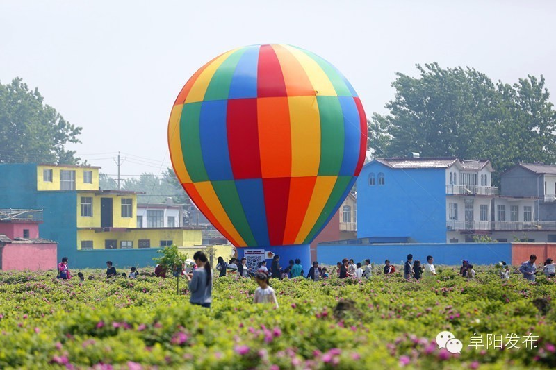 界首有个*瑰园玫**，美爆了！没去别后悔~