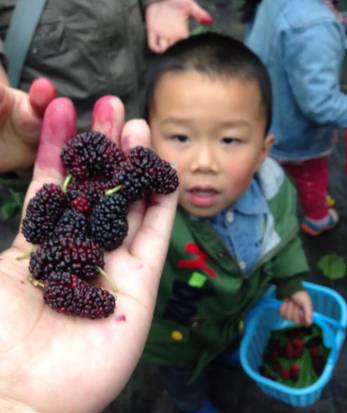 这个季节江西适合去哪里旅游,江西必玩的五A景区