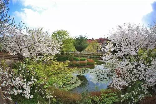 据说，江西人有了这条微信，就可以在韶关打开“仙境之门”！