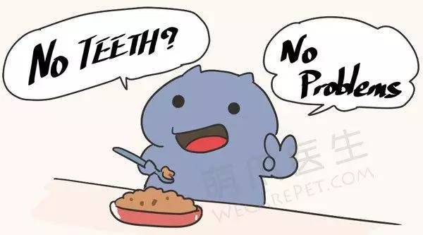 猫咪不吃饭流鼻涕口腔痰多,猫咪口臭不流口水拒绝进食