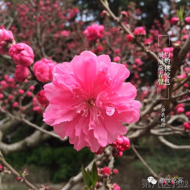 粗去浪|情人坝赏日落，再来几顿美味大餐！