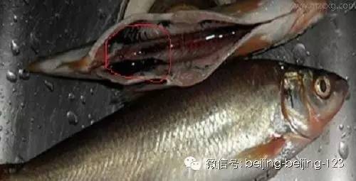 爱吃海鲜的人要关注什么,爱吃海鲜的人怎么避免痛风