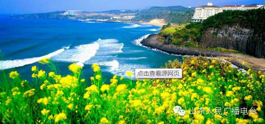 海洋神话号邮轮游记,人生需要一次说走就走的旅游吗