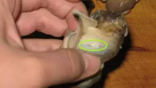 爱吃海鲜的人要关注什么,爱吃海鲜的人怎么避免痛风