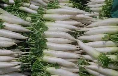 走进枞阳·美食篇——他们居然说这个东西最好吃！