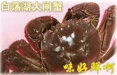走进枞阳·美食篇——他们居然说这个东西最好吃！