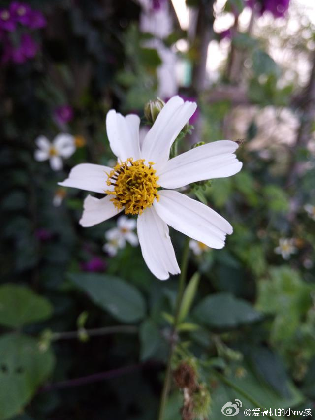 岂止于大试驾全新宝马,vivox6plus介绍