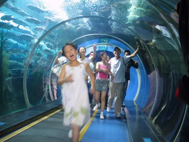 冬天青岛有什么好玩的地方,青岛冬天好玩儿的地方