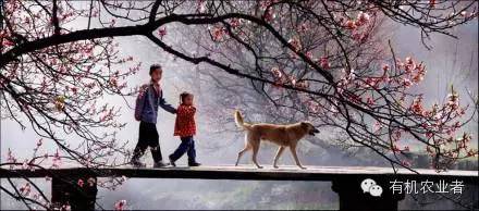 曾经结伴同行,曾经一起走过的路图片