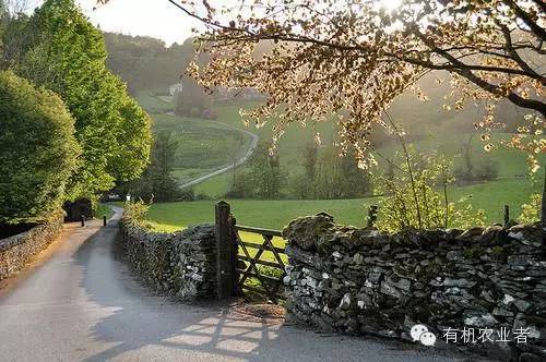 曾经结伴同行,曾经一起走过的路图片