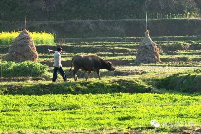 曾经结伴同行,曾经一起走过的路图片
