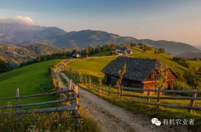 曾经结伴同行,曾经一起走过的路图片