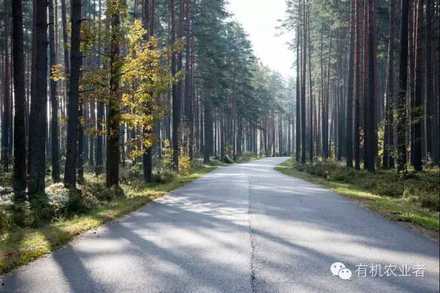 曾经结伴同行,曾经一起走过的路图片