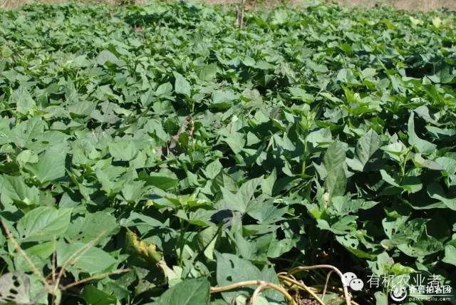 曾经结伴同行,曾经一起走过的路图片