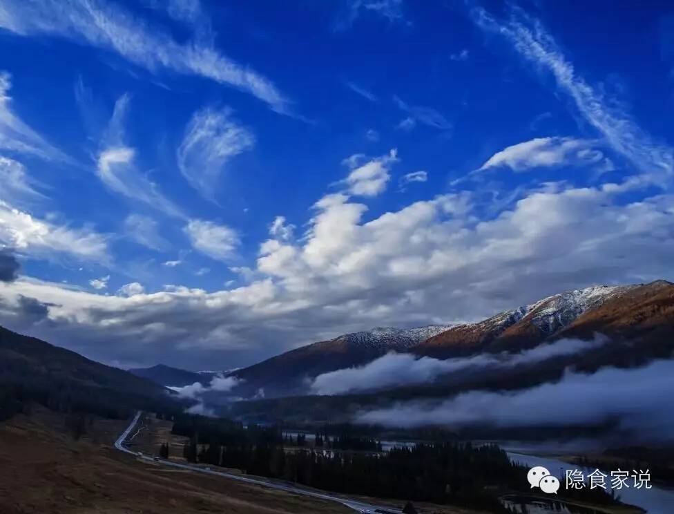 喝沙棘汁和柠檬汁哪个好,最好喝沙棘汁