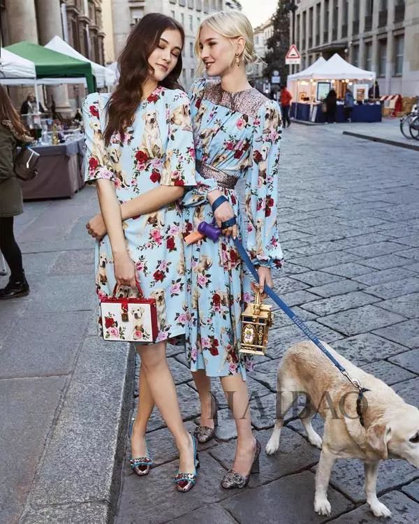 毕竟爱狗｜哈哈哈哈哈哈……听说你们要买狗年单品？我就真的不拦了！