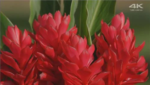 小米盒子4真实使用感受,小米盒子4深度评测视频