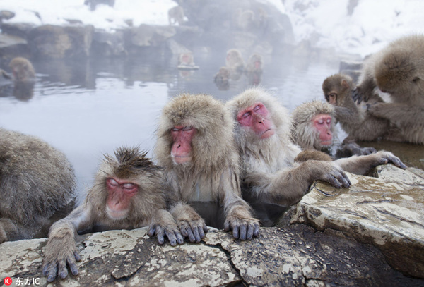 收藏！没泡过这些温泉的人生是不完整的！