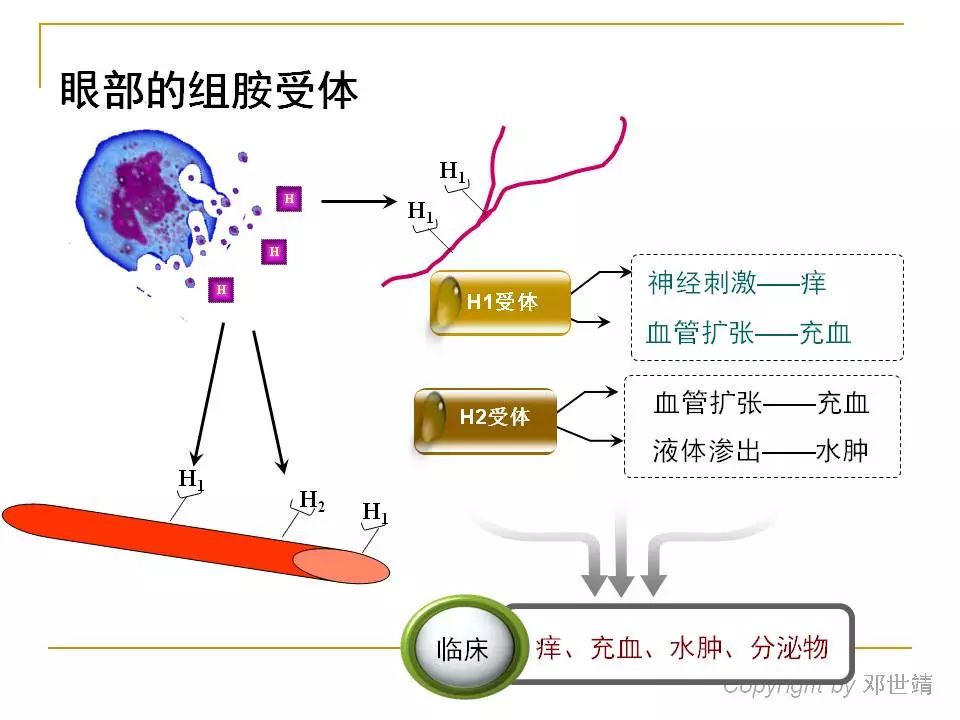 眼睛过敏如何预防,治疗眼周围过敏方法