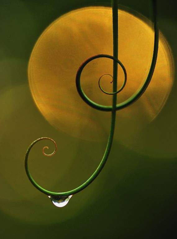 远离城市的自然之美,探寻城市中的自然之美