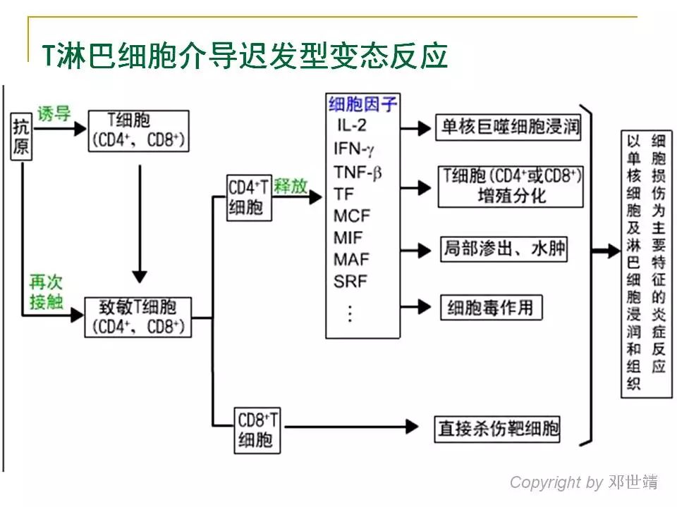 眼睛过敏如何预防,治疗眼周围过敏方法