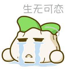 保险查勘员和定损员的区别,保险公司查勘定损岗怎么样