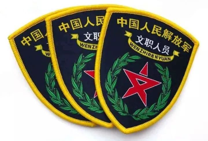 军改文职人员,军改文职