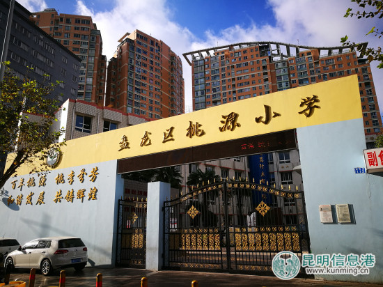 桃源县桃源小学,桃源小学哪年办学